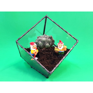 Terrario Geométrico Moderno de Vidrio Negro para Plantas, Contenedor para Oficina, Balcón, Ventana, Jardín, Exhibición de Flores, Caja Decorativa - Product Image 4