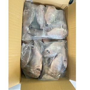 Tilapia entière IQF/congelée en bloc, haute qualité du Vietnam, VH Food, 300-500g/500-800g, faible teneur en sel et en matières grasses, scellée sous vide, issue d'élevage, en morceaux - Product Image 3