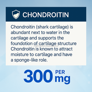 Chondroitin แท็บเล็ตการสนับสนุนข้อต่อผู้ใหญ่60จำนวน - Product Image 2