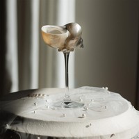 Verres à vin en verre et coquillages marins très demandés, parfaits pour les dîners en intérieur et les occasions de réceptions en extérieur.
