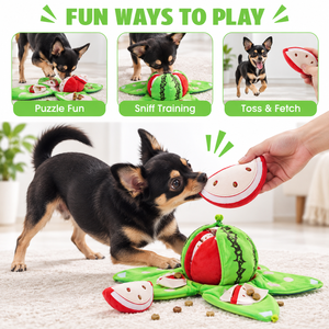 XH Plush <b>Dog</b> Chew <b>Toy</b> Squeaky Pet Teething <b>Toy</b> Soft Filled <b>Interactive</b> Training <b>Toy</b> for Small <b>Dogs</b> - Product Image 2