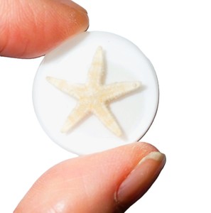 Estrella de Mar, Espécimen Real, Cabujón de Plástico Redondo de 25x25 mm, Base Plana Blanca para Manualidades y Joyería - Product Image 1