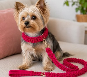 Correa para Perro Resistente y Ecológica con Decoración de Lazo con Estampado Animal, Estilo Moderno - Product Image 1