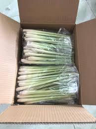 Hierba de Limón Congelada IQF - Hierba de Limón en Rodajas/Picada para Exportación, Producto de Vegetales Congelados - PROVEEDOR VIETNAM/ Sra. Selina - Product Image 2