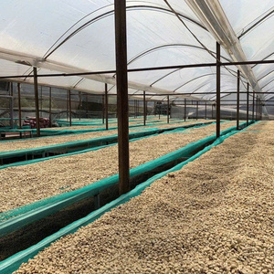 HANCOFFEE 2026 กาแฟโรบัสต้าเวียดนาม ผลผลิตใหม่ แบบดิบ/ยังไม่ผ่านกระบวนการคั่ว - ราคาส่งถูกที่สุด - บรรจุในถุง 60 กก./ถุง PP/ถุงปอกระเจา - มีตัวอย่างฟรี - Product Image 4