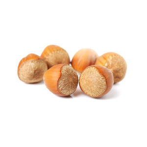 Poudre d'extrait de noisette en gros mondial - Approvisionnement alimentaire santé et service fiable - Product Image 5