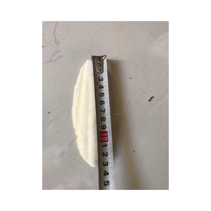 Suplemento de Calcio Natural de Calamar Seco para Aves, Favorece el Recorte del Pico y el Desarrollo de Huesos Fuertes - Product Image 5