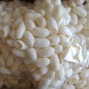 Cocon de soie blanc coupé et nettoyé pour l'exfoliation, le raffermissement et l'hydratation de la peau du visage, qualité supérieure, provenant de fermes vietnamiennes, prix abordable - Product Image 6