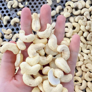 Nueces de Anacardo SANTIGO Directas de Fábrica, Semillas de Anacardo, Kaju Badam, SIN Impuestos, Origen Vietnam - Product Image 1