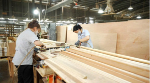 Moulure de <span class=keywords><strong>plinthe</strong></span> en <span class=keywords><strong>bois</strong></span> d'aldère traditionnelle, durable, écologique, pour décoration de bâtiment, surface brute, longueur personnalisée - Product Image 4