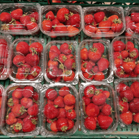 Premium kwaliteit verse bramen, natuurlijk zoet en sappig, GMO-vrij, boerderijvers, 25kg, gezond eten, natuurlijke voeding