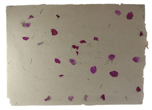 Draps de jardin 100% fibres de chanvre avec pétales de fleurs et herbe hachée fine, mouchetés, 80 GSM, couleur naturelle - Product Image 1