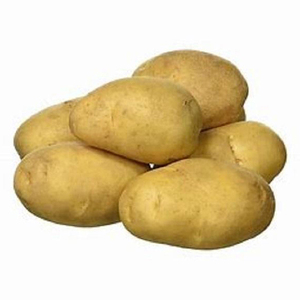 Pommes de terre biologiques fraîches de haute qualité pour la restauration, les hôtels et l'industrie agroalimentaire - Product Image 1