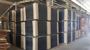 Contreplaqué filmé imperméable de qualité supérieure, norme européenne, panneau de construction, usine du Vietnam, vente en gros, écologique, logo personnalisé - Product Image 2