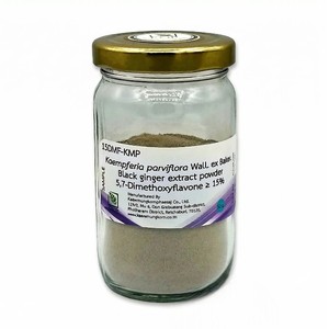 Extracto de Kaempferia Parviflora en Polvo, 15% DMF, Cultivo Silvestre, Marca KMP, Tailandia, Venta al Por Mayor - Product Image 6