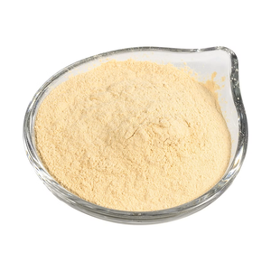 Polvo de Fruta de Kumquat Premium Más Vendido, Extracto Cítrico Natural para Helados, Yogur, Repostería y Elaboración de Postres - Product Image 1