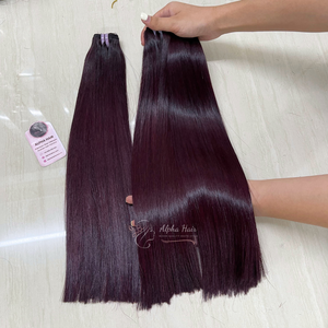 Extensiones de cabello humano vietnamita recto de hueso sin procesar pelucas y mechones frontales de encaje alineados con cutícula Top 1 Gorgeous - Product Image 4