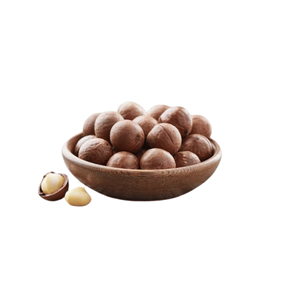 Mejor Precio, Calidad de Exportación, Fábrica en Vietnam, Deliciosas y Naturales Nueces de Macadamia Más Vendidas, Empacadas en Bolsa de 10 kg - Product Image 5