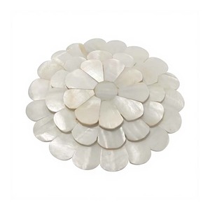 Meilleur Prix Indien Grossiste Sea Shell Mirrors Bleu Nacre Gemstone Giveaways Prêt à Expédier - Product Image 3