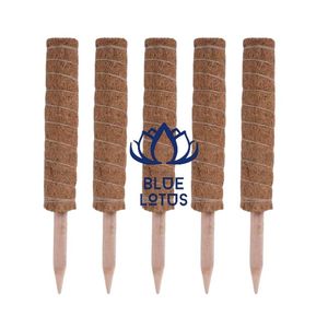 Poteau de soutien pour plantes en fibre de coco écologique et durable, robuste, disponible - Product Image 1
