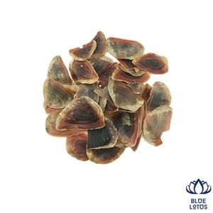 Coquille d'opercule de Murex écologique de haute qualité, matière première premium pour fixateur de parfum et encens, prix direct, vente chaude - Product Image 1