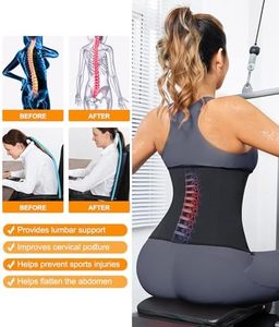 Heavy Duty Slimming Waist <b>Trainer</b> Belt for Weight Loss Gym Fitness Equipment with Neoprene Material and Strong Abdomen Support - Product Image 3