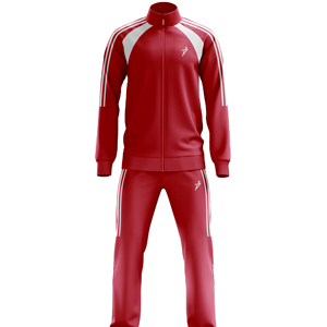 PUFFIN SPORTS Wholesale Custom Logo Winter Hooded Solid Reversible Fleece 100% Cotton Silk Screen Printed Men's Track Suit Set - Product Image 1