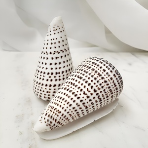 เปลือกหอยธรรมชาติขายส่ง ของตกแต่งเปลือกหอยทะเล ของตกแต่งธีมชายหาด - Product Image 2