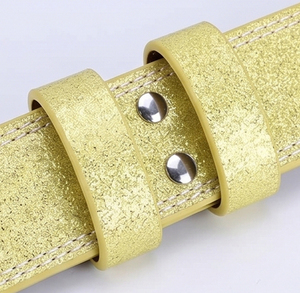 Ceinture de musculation réglable pour le soulagement des douleurs dorsales, avec soutien lombaire, à paillettes, pour la musculation et les soulevés de terre en salle de sport - Product Image 3