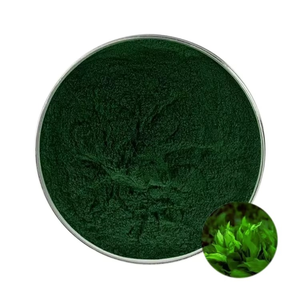 Polvo de espirulina 100% puro y natural, polvo de espirulina de malla fina, polvo de espirulina en aerosol, venta al por mayor de polvo de espirulina a granel de la India. - Product Image 1