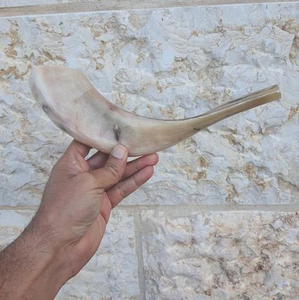 Shofar de Cuerno de Carnero Pulido de Alta Calidad Hecho a Mano y Personalizado, Instrumento Ecológico para Ceremonias Tradicionales Judías y Reuniones Religiosas - Product Image 1