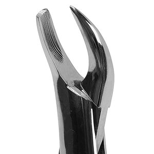 Herramienta de Odontología para Extracción de Dientes, Elevador Dental, Pinzas para Extraer Dientes, Pinzas Extractoras de Dientes para Adultos, Aprobadas por ISO - Product Image 5