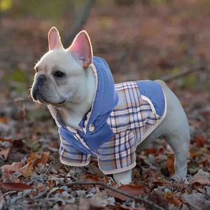 Sudadera Personalizada para Perro, Clásica, de Algodón Suave, con Nombre, Número y Diseño Floral - Product Image 6