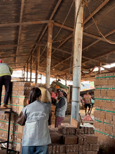 วัสดุปลูกจากใยมะพร้าวแบบขยายตัวสูงสำหรับเพาะเมล็ด ปลูกพืชไร้ดิน เป็นมิตรกับสิ่งแวดล้อม ราคาโรงงาน ขายส่ง - Product Image 2