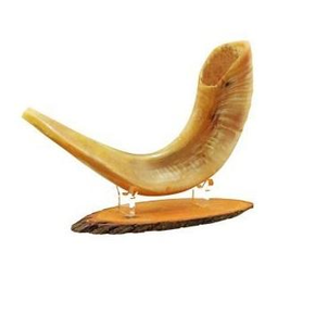 Directo de la India, Shofar de Cuerno de Búfalo de Buena Calidad, Ecológico, Religioso, Pulido, de Color Natural, Estilo Animal - Product Image 4