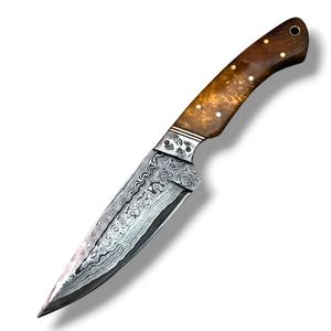 Cuchillos de Caza Profesionales de Hoja Fija con Patrón Decorativo de Acero de Damasco, Filo Curvo y Mango de Madera para Camping - Product Image 1