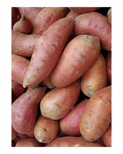 PATATAS DULCES CONGELADAS AL POR MAYOR DIRECTAMENTE DE LA FÁBRICA, PATATAS DULCES CONGELADAS NATURALMENTE, NUEVA COSECHA. - Product Image 1