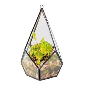 Maceta Geométrica de Cristal Negro Popular para Suculentas y Plantas Aéreas - Decoración Artística Ecológica para el Hogar/Oficina, Regalo de Boda - Product Image 1