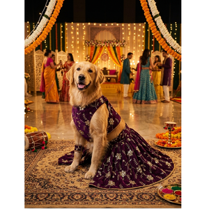 Oferta Exclusiva: Lehenga Étnica para Mascotas, Vestido Tradicional Indio para Mascotas, Disfraz de Diseñador para Perros, Ideal para Fiestas y Bodas - Product Image 1