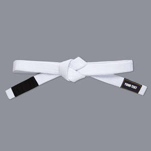 Ceinture de BJJ brodée sur mesure, ceinture de rangement pour arts martiaux Jiu Jitsu, fournisseur pour commandes en gros, fabriqué au Pakistan - Product Image 1