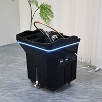 Bassin de lavage portable avec réservoir d'eau, massage capillaire, circulation d'eau, stockage d'eau 60L, pour thérapie capillaire, lavabo de chaise de shampoing
