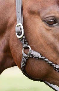 Y & Z-Cuerda de cuero genuino para caballo, alta calidad, calidad superior, disponible, venta al por mayor, proveedores de cuerda ecuestre - Product Image 4