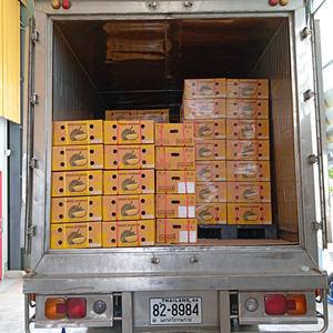 มรสุมสดแบบพรีเมียมทุเรียนจากประเทศไทยเนื้อผลไม้รสหวานและครีมบริสุทธิ์เนื้อทุเรียนจากประเทศไทยส่งออกคุณภาพจากประเทศไทย - Product Image 4