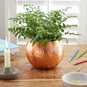 Grand pot de fleurs en métal pour le sol, pot à plantes en fer pour le coin du salon, le jardin, le balcon, pot décoratif moderne - Product Image 1