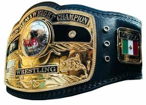 Ceinture de champion personnalisée NWA en alliage de zinc, écologique, unisexe, taille basse, épaisseur 3 cm, doublure en polyester, longueur 1,5 m, judo, karaté, MMA - Product Image 2