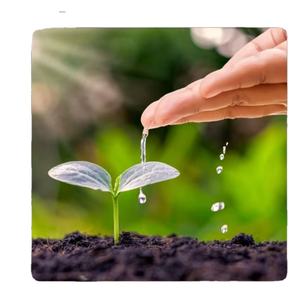 Engrais organique VERMICOMPOST de qualité supérieure, engrais organique de qualité supérieure, vermicompost pour plantes, vermicompost de haute qualité - Product Image 1