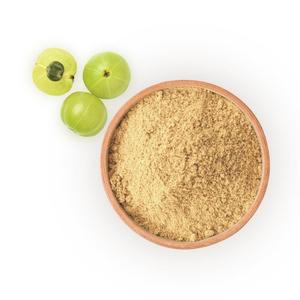 Poudre d'Amla séchée par pulvérisation de qualité supérieure, extrait de fruit d'Amla, vente en gros au meilleur prix - Product Image 2