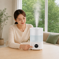 Humidificateur de bureau grande capacité 4L, humidificateur à brume froide 300ml/h, humidificateur silencieux pour la pièce avec télécommande pour le bureau et la maison