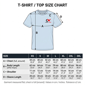 T-shirts pour hommes à séchage rapide, coupe classique XS-2XL, broderie personnalisée, impression sérigraphique, coton compressé, design vierge - Product Image 6