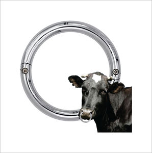 Anillo Nasal para Ganado de Alta Calidad, con la Mejor Mano de Obra, Ajustable |   Anillo de latón con forma de nariz de cerdo |   Rueda de toros de acero inoxidable - Product Image 6